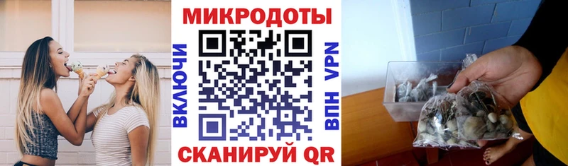 Псилоцибиновые грибы Cubensis  Пучеж 